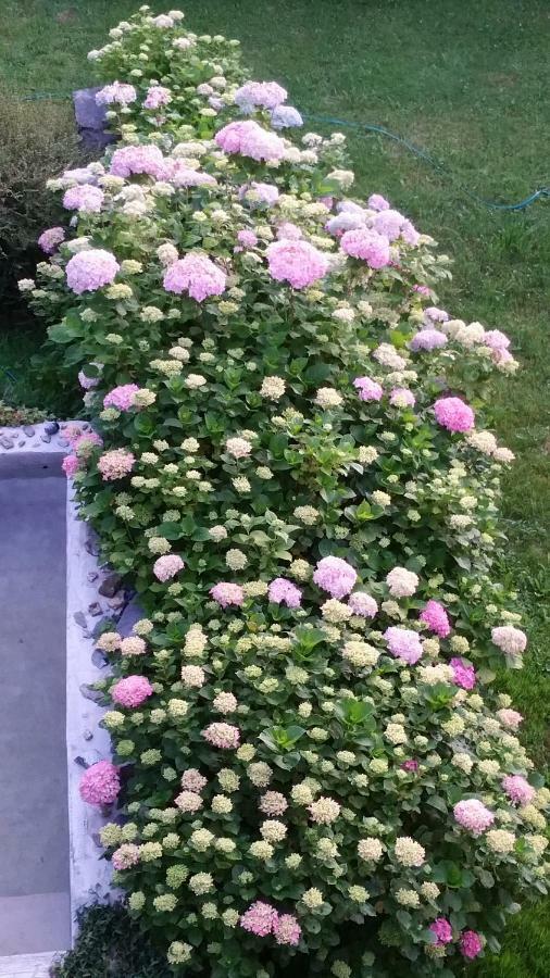 B&B Casa Rural Pikukoborda (Adults Only) Lesaka Dış mekan fotoğraf